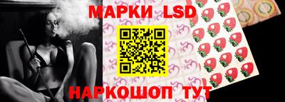 стаф Кудрово
